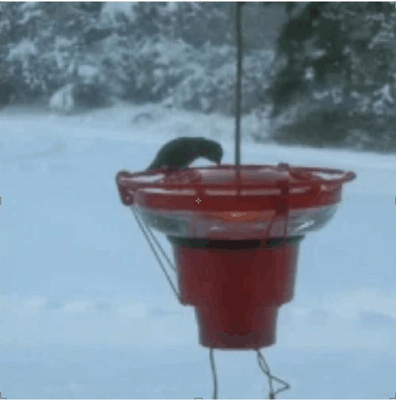 HKM-043539 Bird Center Hummingbird Stove Hummingbird Heater