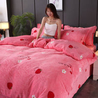 HKM-043923 Warm Double-sided Fleece Quilt Cover with Various Patterns and Sizes