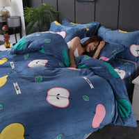 HKM-043923 Warm Double-sided Fleece Quilt Cover with Various Patterns and Sizes