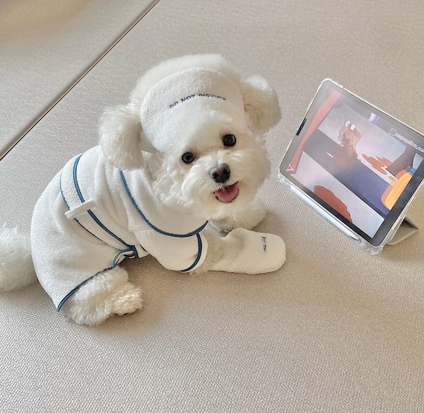 HKM-046675 INS Wind Hotel Wind Pet Bathrobe Photo Props Pajamas