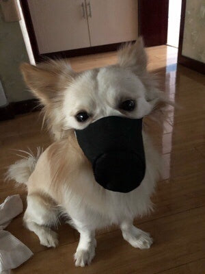 HKM-047571 Pet Mouth Cover with Soft Cloth Material for Comfortable Outings