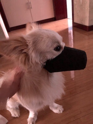 HKM-047571 Pet Mouth Cover with Soft Cloth Material for Comfortable Outings