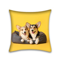 HKM-048915 Modern Peach Skin Pillowcase for Pets - 45x45 Cushion Cover