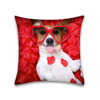 HKM-048915 Modern Peach Skin Pillowcase for Pets - 45x45 Cushion Cover