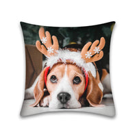 HKM-048915 Modern Peach Skin Pillowcase for Pets - 45x45 Cushion Cover