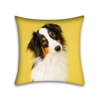 HKM-048915 Modern Peach Skin Pillowcase for Pets - 45x45 Cushion Cover