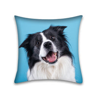 HKM-048915 Modern Peach Skin Pillowcase for Pets - 45x45 Cushion Cover