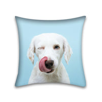 HKM-048915 Modern Peach Skin Pillowcase for Pets - 45x45 Cushion Cover