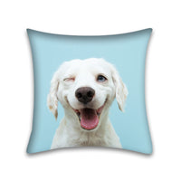 HKM-048915 Modern Peach Skin Pillowcase for Pets - 45x45 Cushion Cover