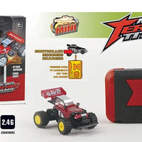 HKM-049491 1:64 Scale Mini RC Buggy Off-Road Remote Control Car, 5-Channel, 2.4G, Ready-to-Go