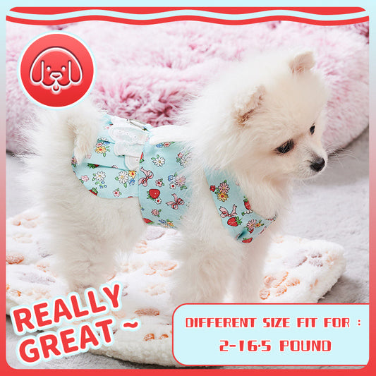 HKM-050515 Angel Wing Dog Harness Dress with Leash Set for Small Breeds