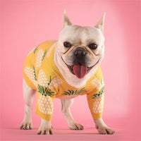 HKM-051411 Cotton Pineapple Sweater in Multiple Sizes - Comfortable and Stylish Apparel