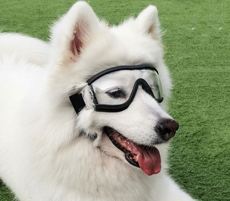 HKM-052499 Stylish Dog and Cat Sunglasses with Gold Chain, Small Pet Goggles Accessories