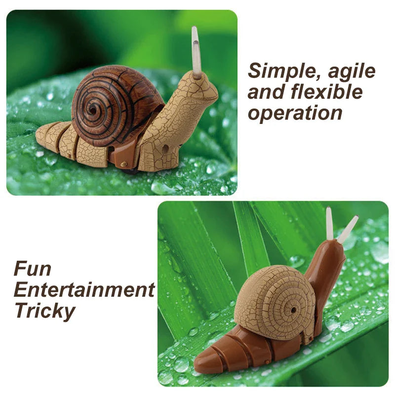 HKM-052563 Remote Control Infrared Snail Toy with Light for Children Ages 6 and Up