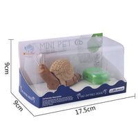HKM-052563 Remote Control Infrared Snail Toy with Light for Children Ages 6 and Up