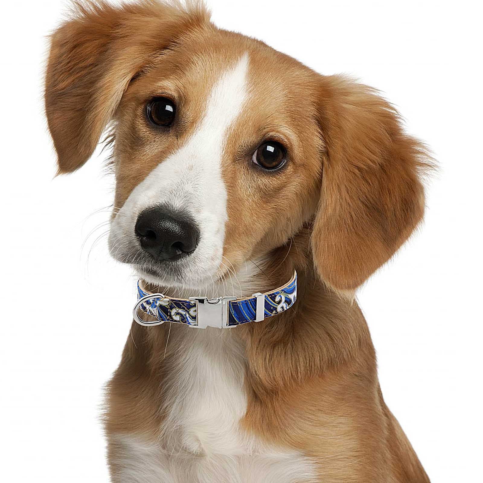 HKM-053843 Flower-Patterned Decorative Pet Collar in Pink, Red, Blue, and Dark Blue - Sizes S, M, L Available