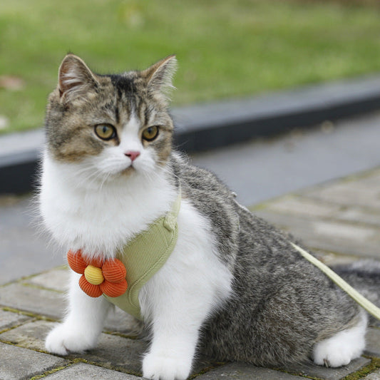 HKM-054483 Green Pet Harness with Flower Design and Rope Attachment - Available in XS, S, M, L Sizes