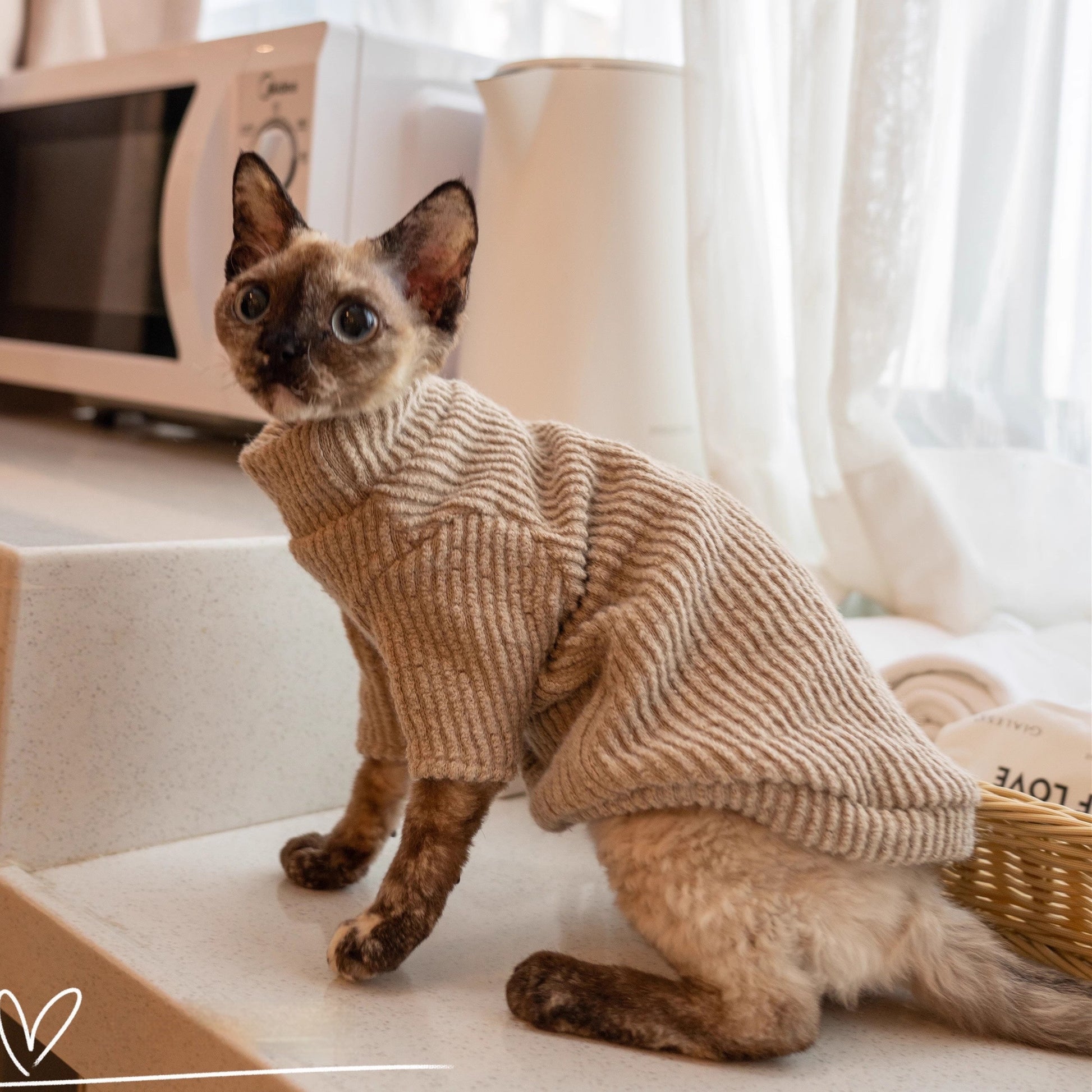 HKM-054547 Lambswool Cat Vest and Sweater Set - Milk Coffee Textured Fashion for Cats