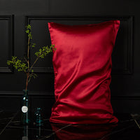 HKM-054931 Double-Sided Mulberry Silk Pillowcase 48x74cm - Light Gray