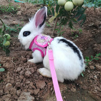HKM-055635 Rabbit and Guinea Pig Vest-Style Chest Strap for Comfortable Pet Wear