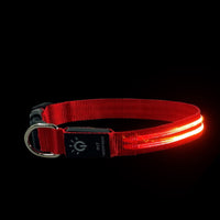HKM-056275 LED Waterproof Pet Collar with USB Charging & Night Safety Lighting