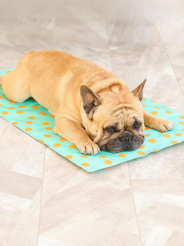 HKM-056979 Pet gel ice pad