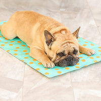 HKM-056979 Pet gel ice pad