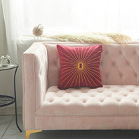 HKM-058387 Netherlands Velvet Gold Thread Embroidery Pillow Cover - 45x45cm in Multiple Colors