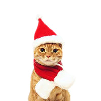 HKM-059155 Festive Fleece Pet Costume Set for Cats and Dogs - Christmas Cape, Hat, and Bib