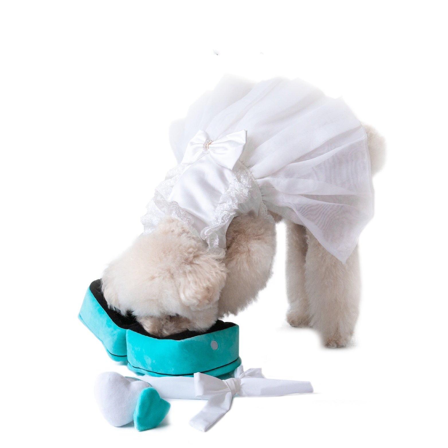 HKM-061651 Pet Gift Ring To Relieve Boredom Sniff And Miss Food Plush Toy