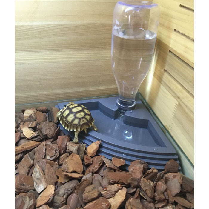 HKM-063059 Fan-Shaped Reptile Feeding Tray with Automatic Water Fountain - Food Grade ABS