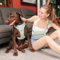 HKM-066323 Mint Green Dog Vest with Collar and Leash Set for Special Occasions