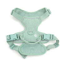HKM-066323 Mint Green Dog Vest with Collar and Leash Set for Special Occasions