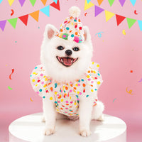 HKM-066643 Colorful Polka Dot Lace Dog Birthday Suit with Hat and Water Towel - Sizes S to L