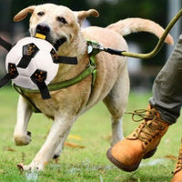 HKM-068243 Outdoor Training Interactive Rope Football