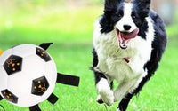 HKM-068243 Outdoor Training Interactive Rope Football