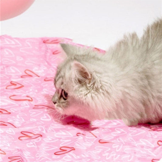 HKM-069139 Interactive Electric Motion Cat Toy with Cover - Bouncing Rolling Ball for Indoor Use