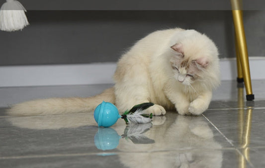 HKM-070547 Teaser Cat From High Cat Ball Charging Multi-mode