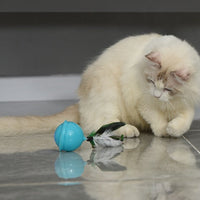 HKM-070547 Teaser Cat From High Cat Ball Charging Multi-mode