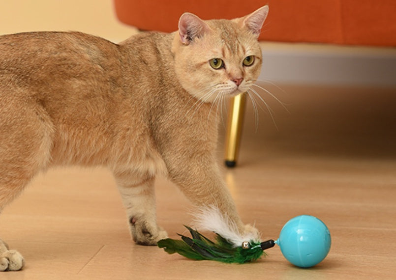 HKM-070547 Teaser Cat From High Cat Ball Charging Multi-mode