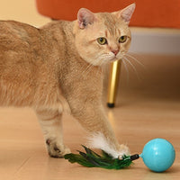 HKM-070547 Teaser Cat From High Cat Ball Charging Multi-mode