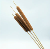 HKM-070867 Natural Dried Pampas Reed Wedding Bouquet with Assorted Grasses and Lotus Decorations