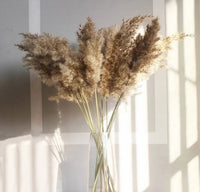 HKM-070867 Natural Dried Pampas Reed Wedding Bouquet with Assorted Grasses and Lotus Decorations