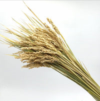 HKM-070867 Natural Dried Pampas Reed Wedding Bouquet with Assorted Grasses and Lotus Decorations