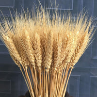 HKM-070867 Natural Dried Pampas Reed Wedding Bouquet with Assorted Grasses and Lotus Decorations