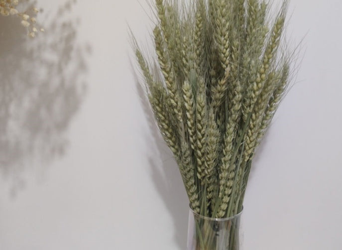 HKM-070867 Natural Dried Pampas Reed Wedding Bouquet with Assorted Grasses and Lotus Decorations