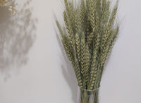 HKM-070867 Natural Dried Pampas Reed Wedding Bouquet with Assorted Grasses and Lotus Decorations