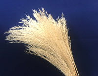 HKM-070867 Natural Dried Pampas Reed Wedding Bouquet with Assorted Grasses and Lotus Decorations