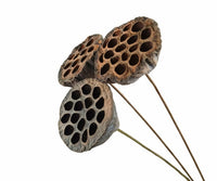 HKM-070867 Natural Dried Pampas Reed Wedding Bouquet with Assorted Grasses and Lotus Decorations