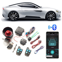 HKM-072595 Induction Car Anti-theft Device with Remote Control and 120dB Alarm